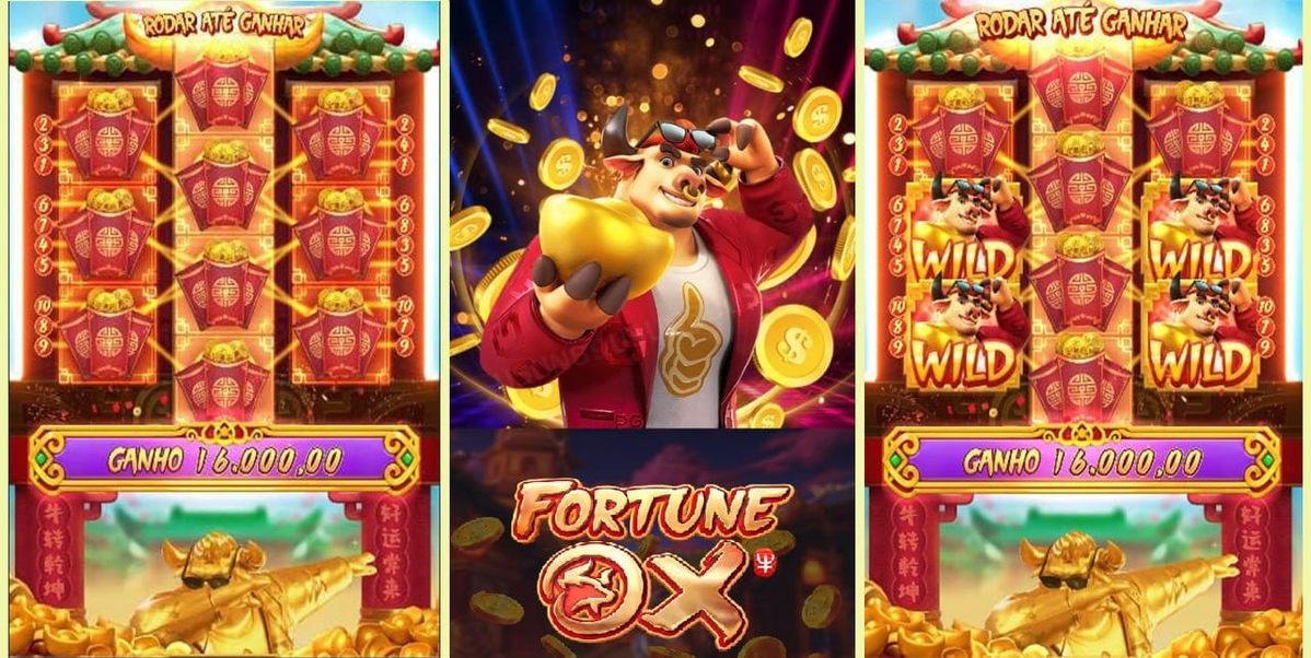 Wild Casino کیسینو میں سلاٹ کھیلنا شروع کریں۔